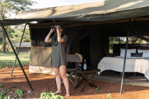 Basecamp Adventure